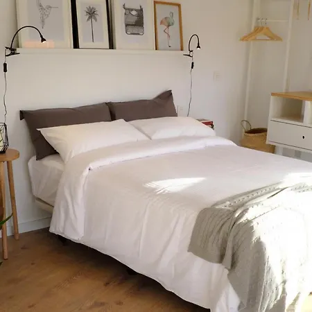 The Palmas Las Palmas