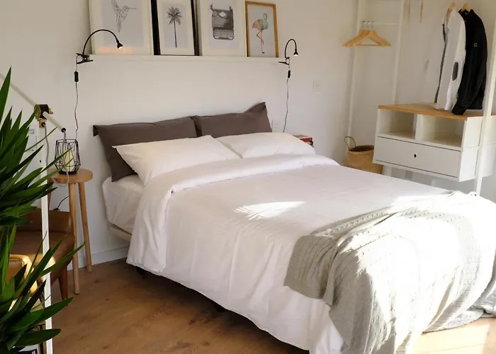 The Palmas Las Palmas