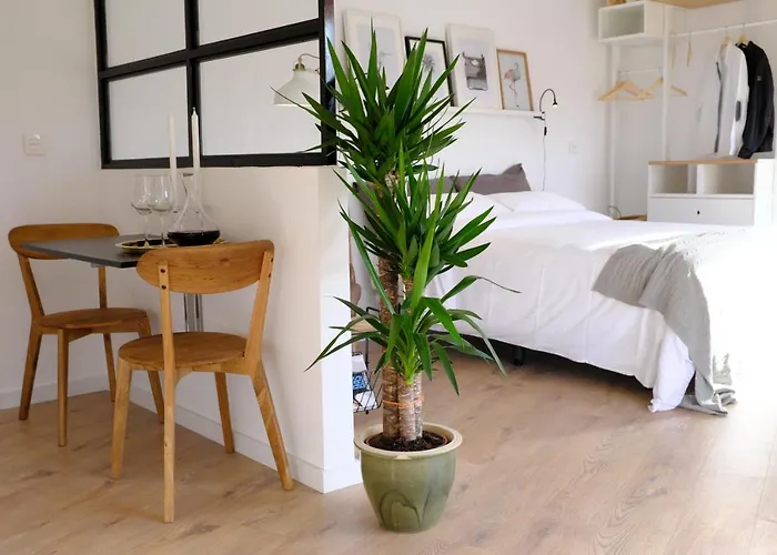 The Palmas 大加那利岛拉斯帕尔马斯