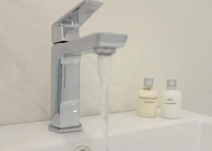 The Palmas Lejlighed *