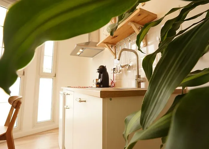 Lejlighed The Palmas *